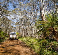 Barrington trail - Accommodation in Bendigo