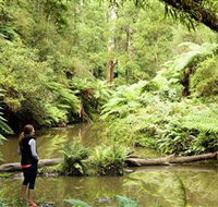 Morwell National Park - Accommodation in Bendigo