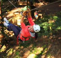 Trees Adventure Grose River Park - Accommodation in Bendigo