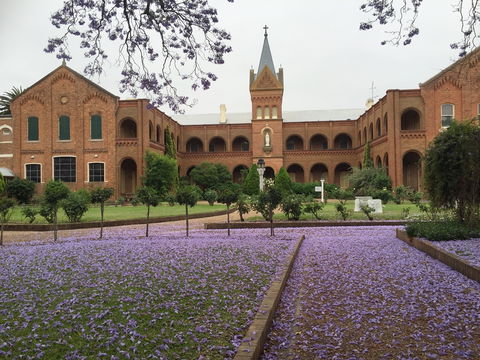 Sacred Spaces At The Sisters Of Mercy Convent - Accommodation in Bendigo 12