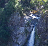 Lyrebird Falls walking track - Accommodation in Bendigo