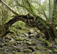 Mitchell River Walking Track - Accommodation in Bendigo