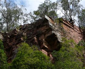 Mitchell River Walking Track - Accommodation in Bendigo 2