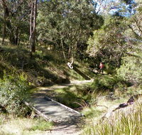 Wollomombi walking track - Accommodation in Bendigo