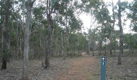 Green Track - Accommodation in Bendigo 0
