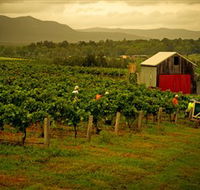 Around Hermitage Wine and Food Trail Hunter Valley - Accommodation in Bendigo