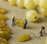 Hunter Valley Wine School - Accommodation in Bendigo