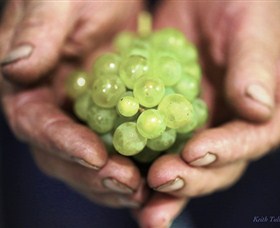 Keith Tulloch Wine - Accommodation in Bendigo 1