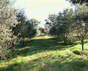 Langdale Farm - Accommodation in Bendigo