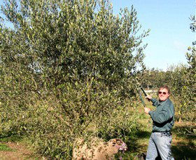 Langdale Farm - Accommodation in Bendigo 3