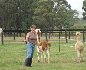Langdale Farm - Accommodation in Bendigo 4