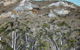 Greg Wilson Gallery - thumb 2