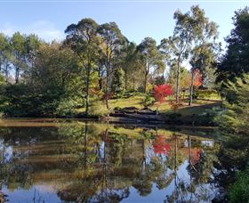 Bellbird Cottage - Accommodation in Bendigo 1