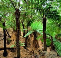 Pegarah Private Nature Reserve  Parenna Place - Accommodation in Bendigo