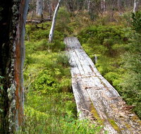 Gloucester Tops circuit - Accommodation in Bendigo