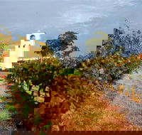 Bimbadgen Winery - Accommodation in Bendigo