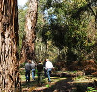 Tallaganda National Park - Accommodation in Bendigo