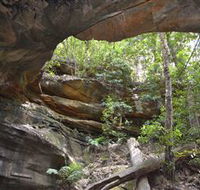 Cave Creek Walking Track - Accommodation in Bendigo