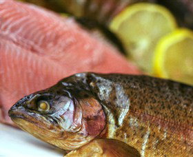 Lovedale Smokehouse Gourmet Pantry, Cafe And Masterclasses - Accommodation in Bendigo 0