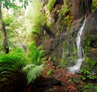 Fairy Bower Falls - Accommodation in Bendigo