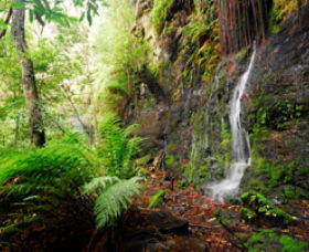 Fairy Bower Falls - Accommodation in Bendigo 0