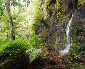 Fairy Bower Falls - Accommodation in Bendigo 2