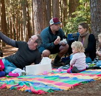 State Forests of the Watagan Mountains - Accommodation in Bendigo