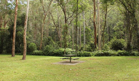 Dharug National Park - Accommodation in Bendigo 3