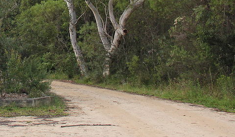 Riverview Walking Track - Accommodation in Bendigo 0