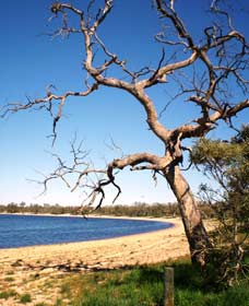 Lake Indoon - Accommodation in Bendigo 0