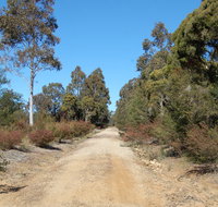 Werakata National Park - Accommodation in Bendigo