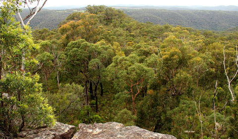 Mount Olive Lookout - Accommodation in Bendigo 0