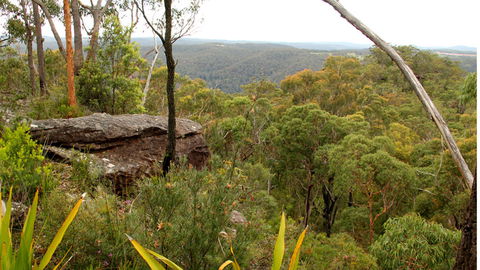 Mount Olive Lookout - Accommodation in Bendigo 2