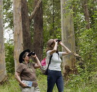 Chichester State Forest - Accommodation in Bendigo