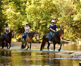 Glenworth Valley Outdoor Adventures - Accommodation in Bendigo 2