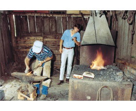 Tocal Homestead - Accommodation in Bendigo 1