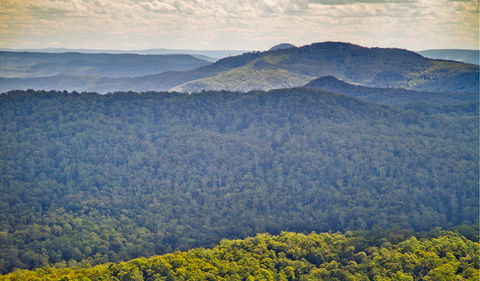 Murray Scrub Lookout - Accommodation in Bendigo 1