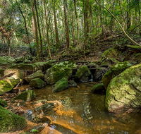 Palm Grove Nature Reserve - Accommodation in Bendigo