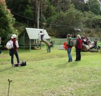 Forest of Tranquillity - Australian Rainforest Sanctuary - Accommodation in Bendigo