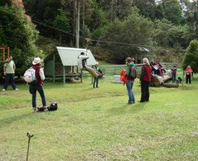Forest Of Tranquillity - Australian Rainforest Sanctuary - Accommodation in Bendigo 0