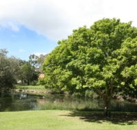 Hervey Bay Botanic Gardens - Accommodation in Bendigo