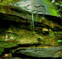 Strickland State Forest - Accommodation in Bendigo