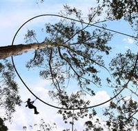 TreeTops Crazy Rider - Accommodation in Bendigo