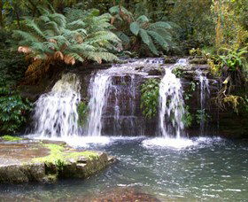 Barrington Tops National Park Walks - Accommodation in Bendigo 0