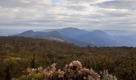 Budawang National Park - Accommodation in Bendigo 1