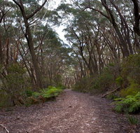 Budawang National Park - Accommodation in Bendigo
