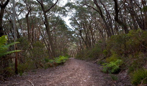 Budawang National Park - Accommodation in Bendigo 0