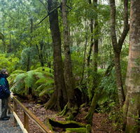 Monga National Park - Accommodation in Bendigo