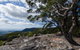 Illawarra Lookout Walking Track - thumb 2