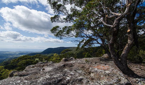 Illawarra Lookout Walking Track - Accommodation in Bendigo 2